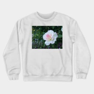 Perfect White Pink Rose, photography by Immortal Peaches Crewneck Sweatshirt